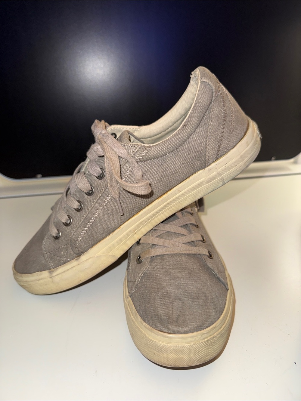 Taos Footwear Gray Canvas Low-Top Sneakers